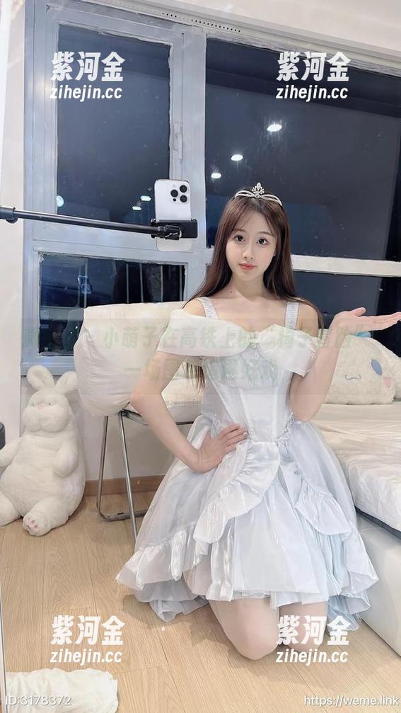 小萌子 微密圈 - 小萌子在高铁上的“椅子冒险”-一场图包追逐好戏