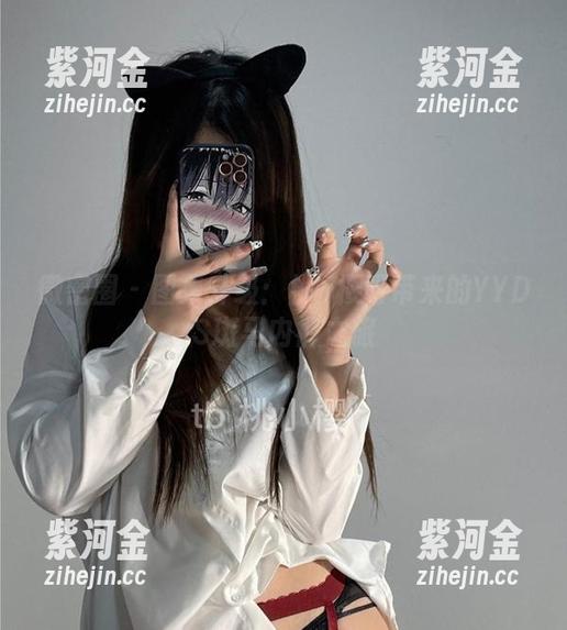 桃沢樱呀 微密圈 - 图集升级:桃沢樱呀带来的YYDS斑马内裤之旅