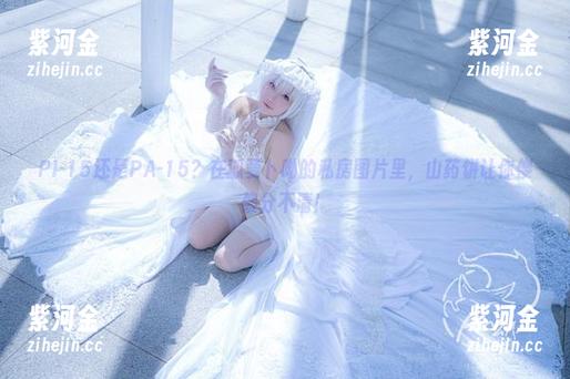 PI-15还是PA-15？在狐萝卜呦的私房图片里，山药饼让你傻傻分不清！