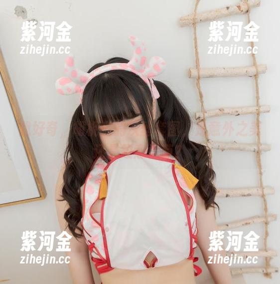 胡桃喵 我好奇,胡桃喵的灰丝套图,是意外之美还是故意卖萌?