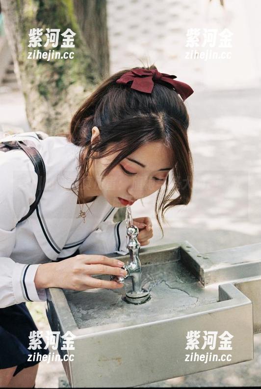 黑川的网盘真厉害：旗袍与獒犬的趣味搭配下载